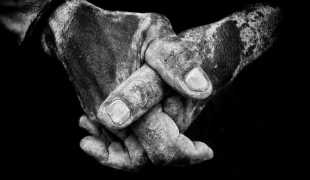 Las mejores fotos hechas con iPhone